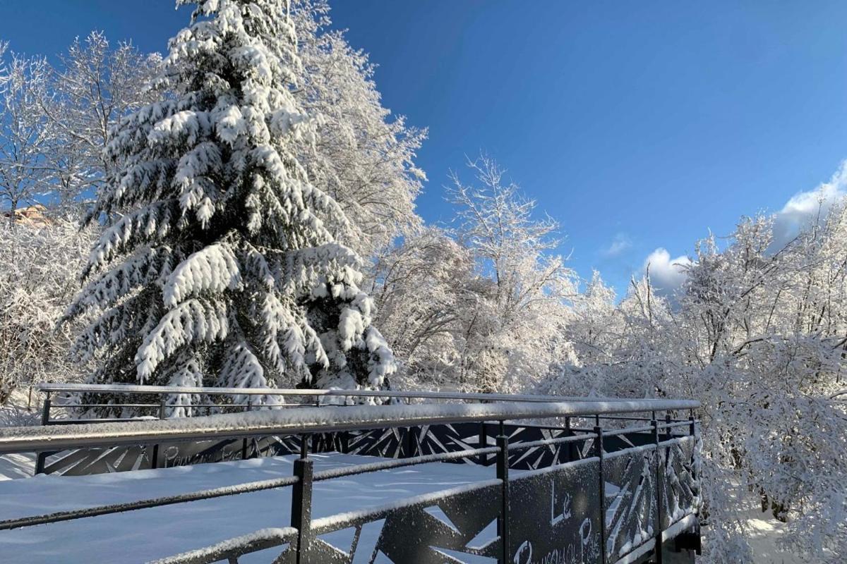 Вилла Chalet Le Pourquoi Pas Ла-Бресс Экстерьер фото